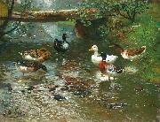 unknow artist Enten am Bach oil painting picture wholesale